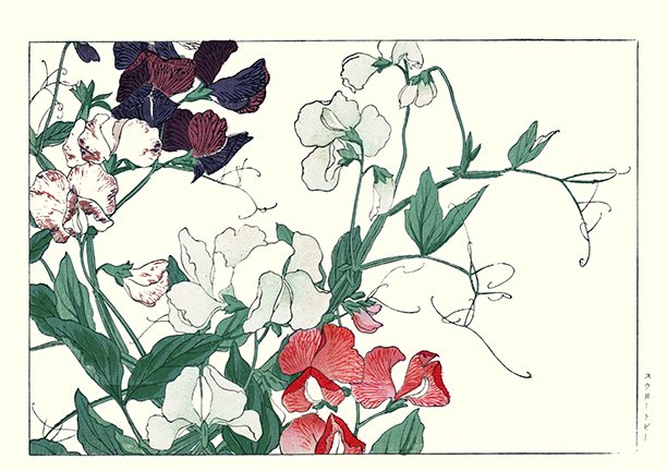 photo51.jpg