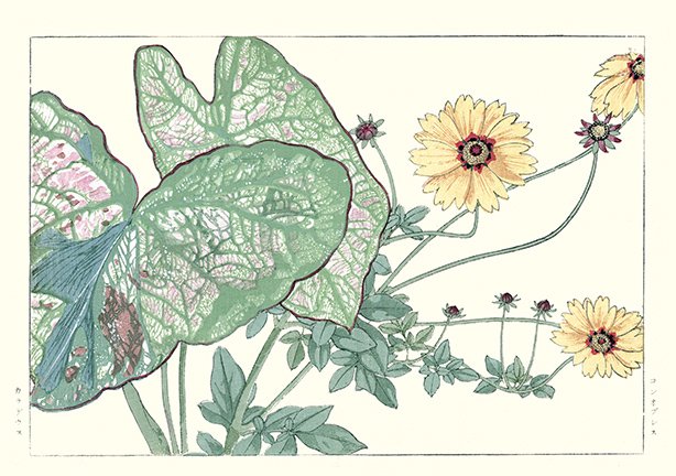 photo54.jpg