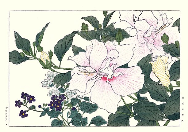 photo55.jpg