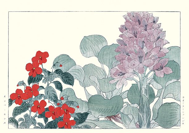photo63.jpg