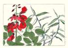 photo72_small.jpg