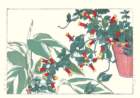 photo73_small.jpg