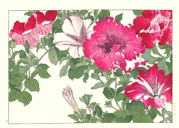photo82.jpg