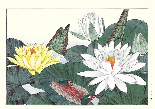 photo88.jpg