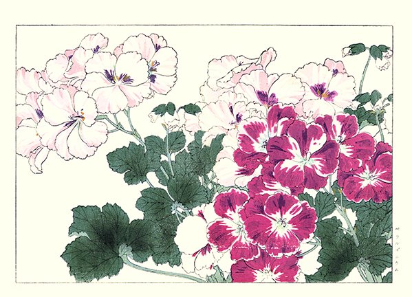 photo95.jpg