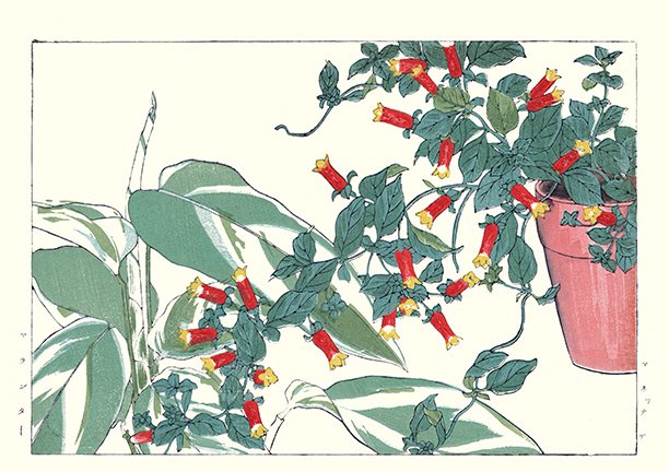 photo23.jpg