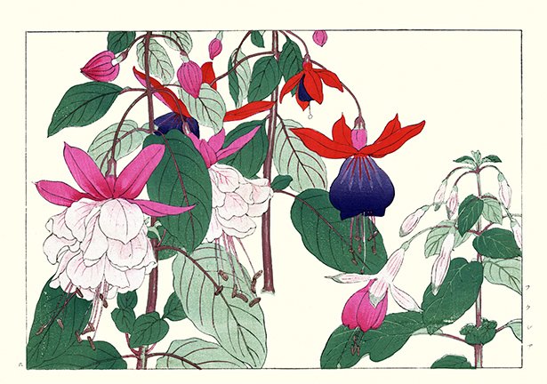 photo6.jpg
