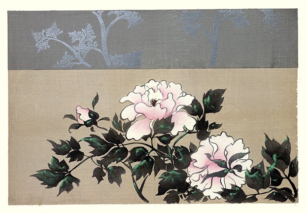 photo19.jpg
