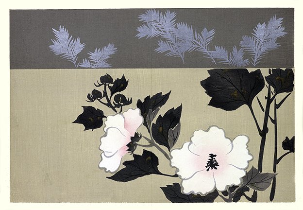 photo22.jpg