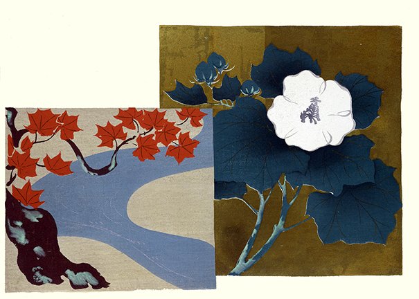 photo9.jpg