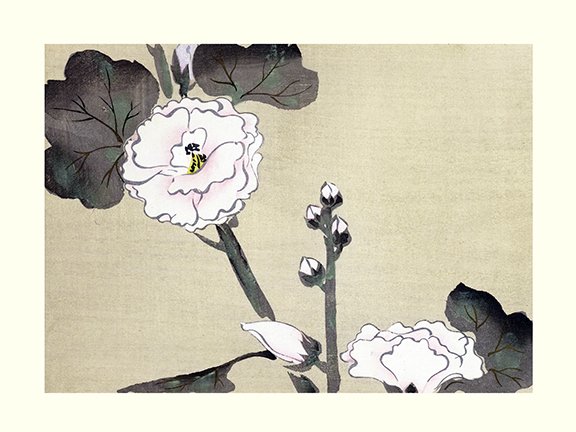 photo6.jpg