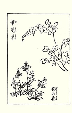 photo50.jpg