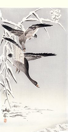 photo10.jpg