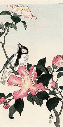 photo107.jpg