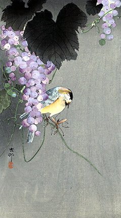 photo115.jpg