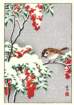 photo120_small.jpg