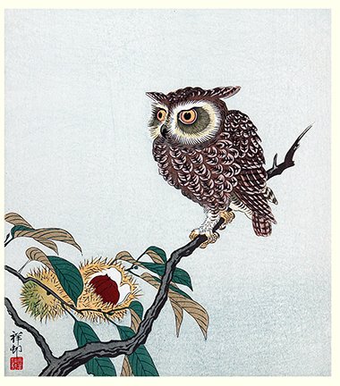 photo162.jpg