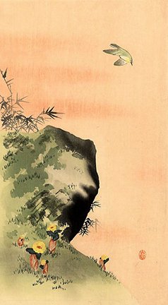 photo172.jpg