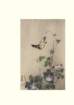 photo180_small.jpg