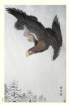 photo194_small.jpg