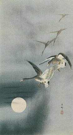 photo210.jpg