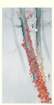 photo360_small.jpg