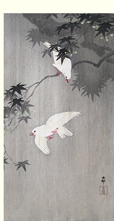photo61.jpg