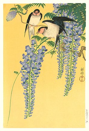 photo75.jpg