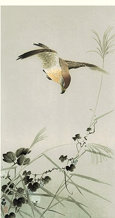 photo81.jpg