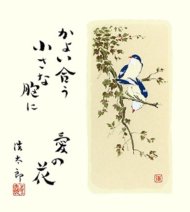 photo46.jpg