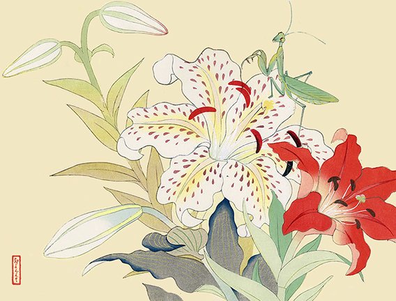 photo11.jpg
