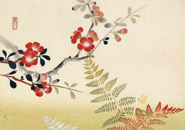 photo14.jpg