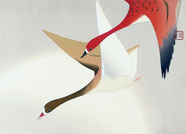 photo24.jpg