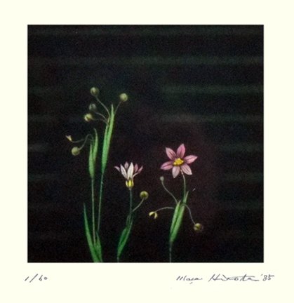 photo25.jpg
