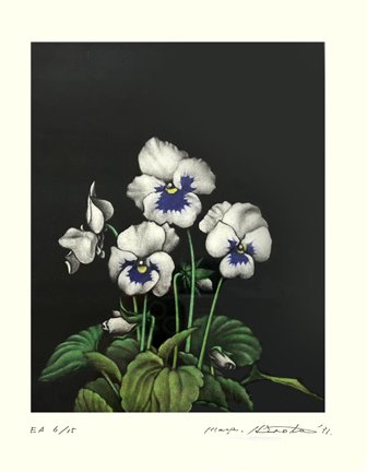 photo39.jpg