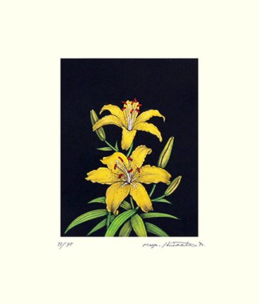 photo6.jpg