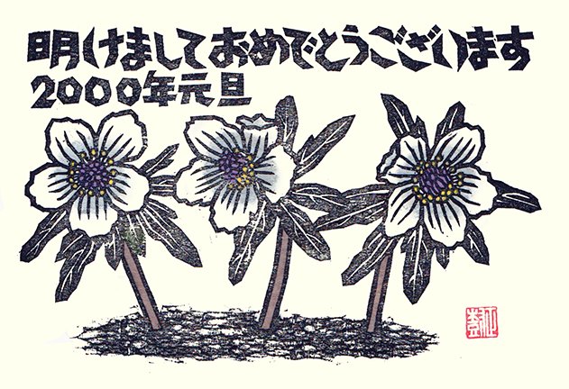 photo102.jpg