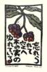 photo140_small.jpg