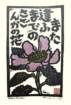 photo154_small.jpg