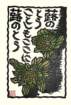 photo176_small.jpg