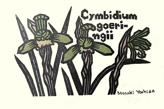 photo194.jpg