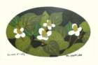 photo218_small.jpg