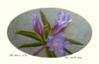 photo226_small.jpg