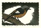photo230_small.jpg