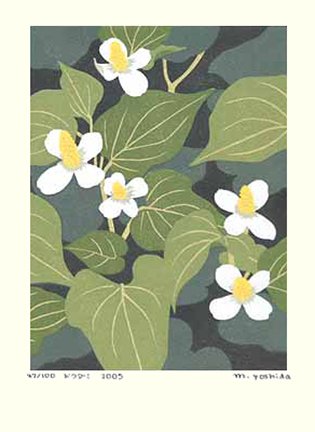 photo27.jpg