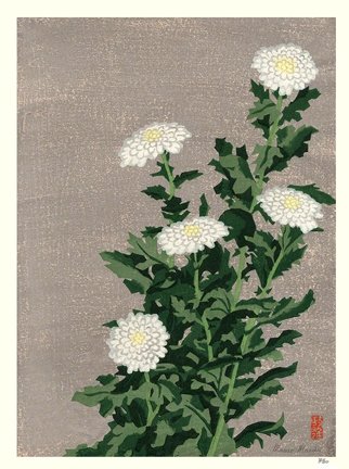 photo17.jpg