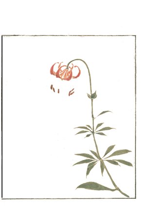 photo8.jpg