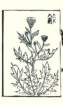 photo13_small.jpg