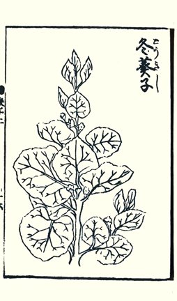 photo20.jpg