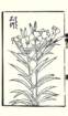 photo23_small.jpg
